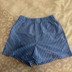 American Eagle Outfitters Blue and White Striped Shorts